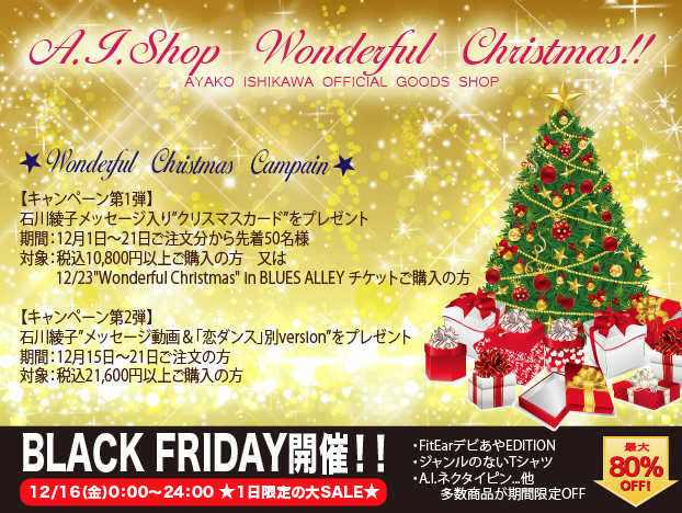 スクリーンショット（2016-12-15 13.15.53）-thumb-622x468-5293-thumb-500x376-5294.png